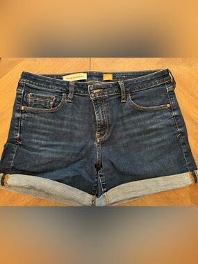 Anthropologie Pilcro and the Letterpress Sjej Denim Shorts Size 30